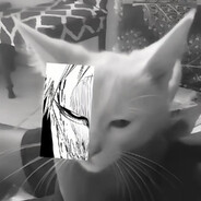 РРРРРРРРРРРРРРРР