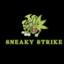 Sneaky Strike ~PANjan