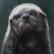 陀螺不会败北，犹豫必