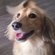 peanut's mom ♥