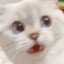 FlabbHs's avatar