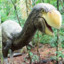 Bullockornis