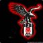 carsi_19_bjk