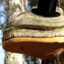 Мудрая CHAGA