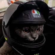 爱金钱的蟹阿金