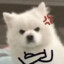 橙子橙子！