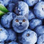 Bluberry cat