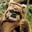 Ewok