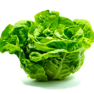 /E. T/ Lechuga