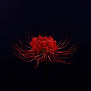 花間蛛網染深紅