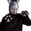 维吉尔小猫
