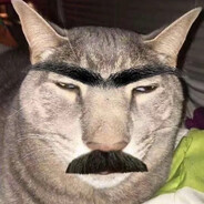 哎碰友去码头整点薯条