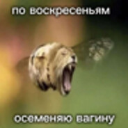 осеменение вагин
