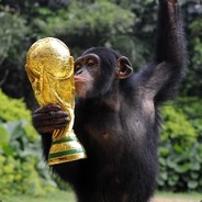 周二珂的男朋友