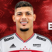 Erison O Boi Bravo