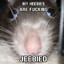 The Rat