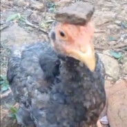 rozrzutnik.kału.skins.army