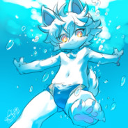 写就是赞美 问就是不给 说就是精选 提就是风险