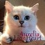 Aurelia Lionheart