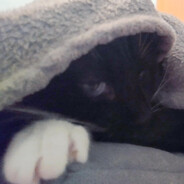 BiałkoCSGOSKINSskins.army