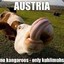 Rotzglockn