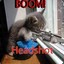 &lt;3 BOOM CAT HEADSHOT &lt;3²