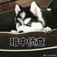 你们的农场主回来了