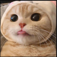 Krush Krush Steam avatar