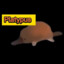 Platypus