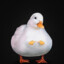 DuckDuck ☜(ˆ▿ˆc)