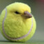 TennisBird