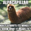 Alpacapillar