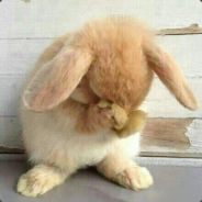 种一朵大蘑菇
