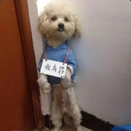 耶稣也有尿急的时候