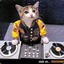 Dj Gato