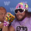 Macho Man Candy Sammich