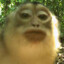 DrPeuppa