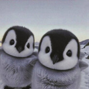 牢底你怎么个事