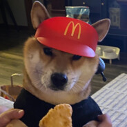 好想被富婆包养