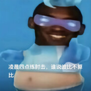 想嗦菲菲的猪咪