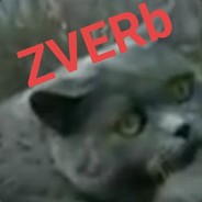 ZVERb