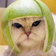 MealonHeady