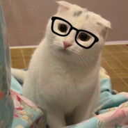 翠锅打烂她的碗