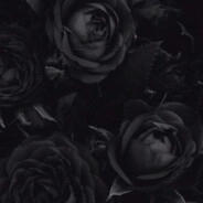 Gustavs Stalīdzāns