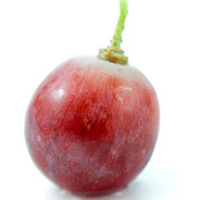 A Single Grape