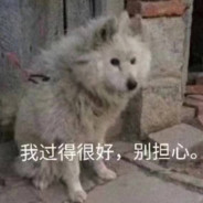 14岁天才玉玉症少女