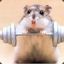 hamster strong