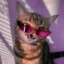 Cat!