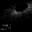 Dark