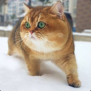 Big Avatar